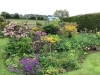 Village Cottage Garden 2020