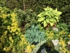 Village Cottage Garden 2020