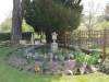 The Vine April 2020