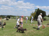 Dog-Show