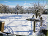 Snowy-Landscape