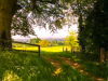 Summer-Walk
